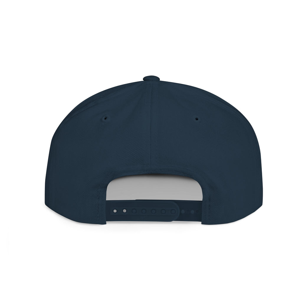 Money Gram Flat Bill Snapback Hat – Sequin 100 Bill Streetwear Cap