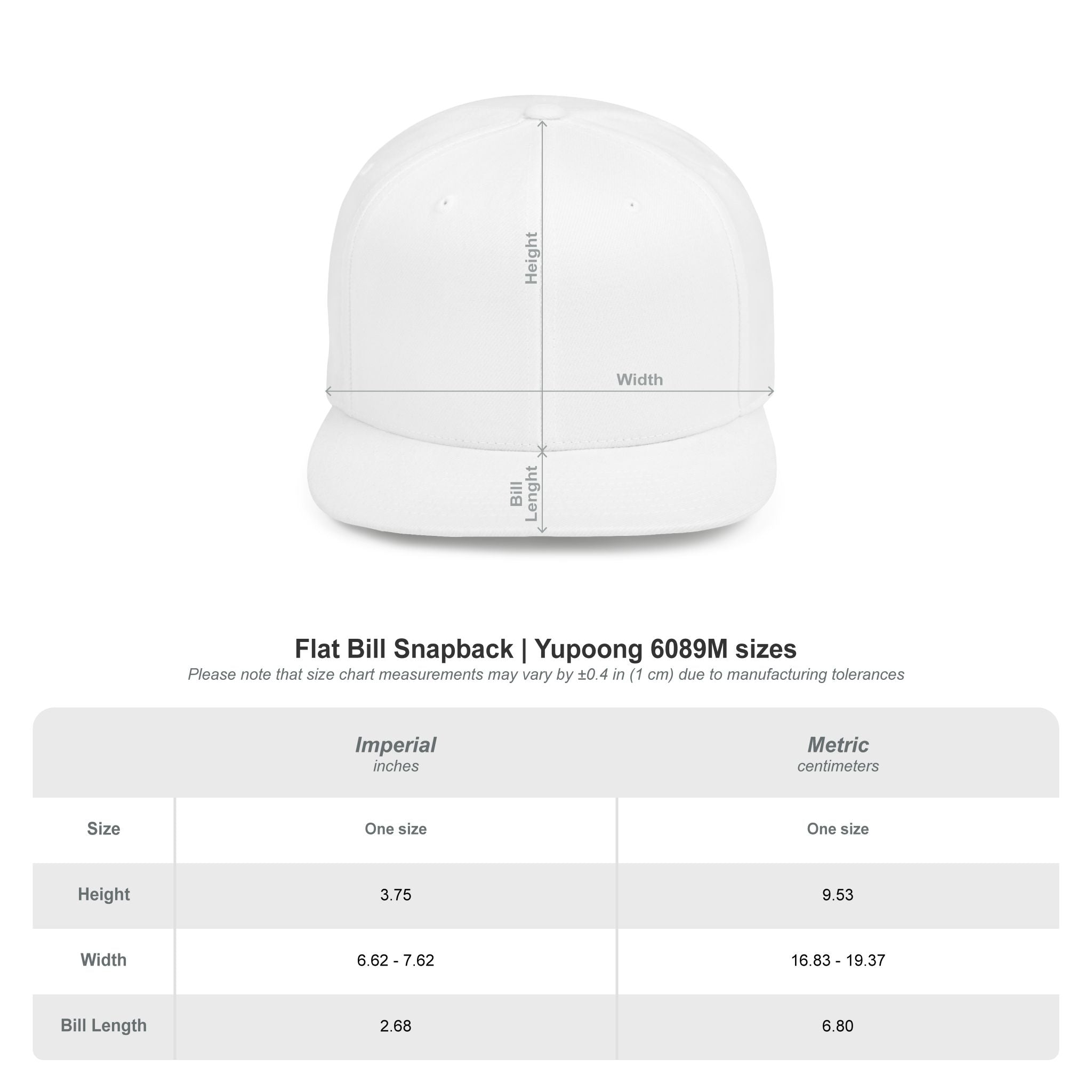 Money Gram Flat Bill Snapback Hat – Sequin 100 Bill Streetwear Cap