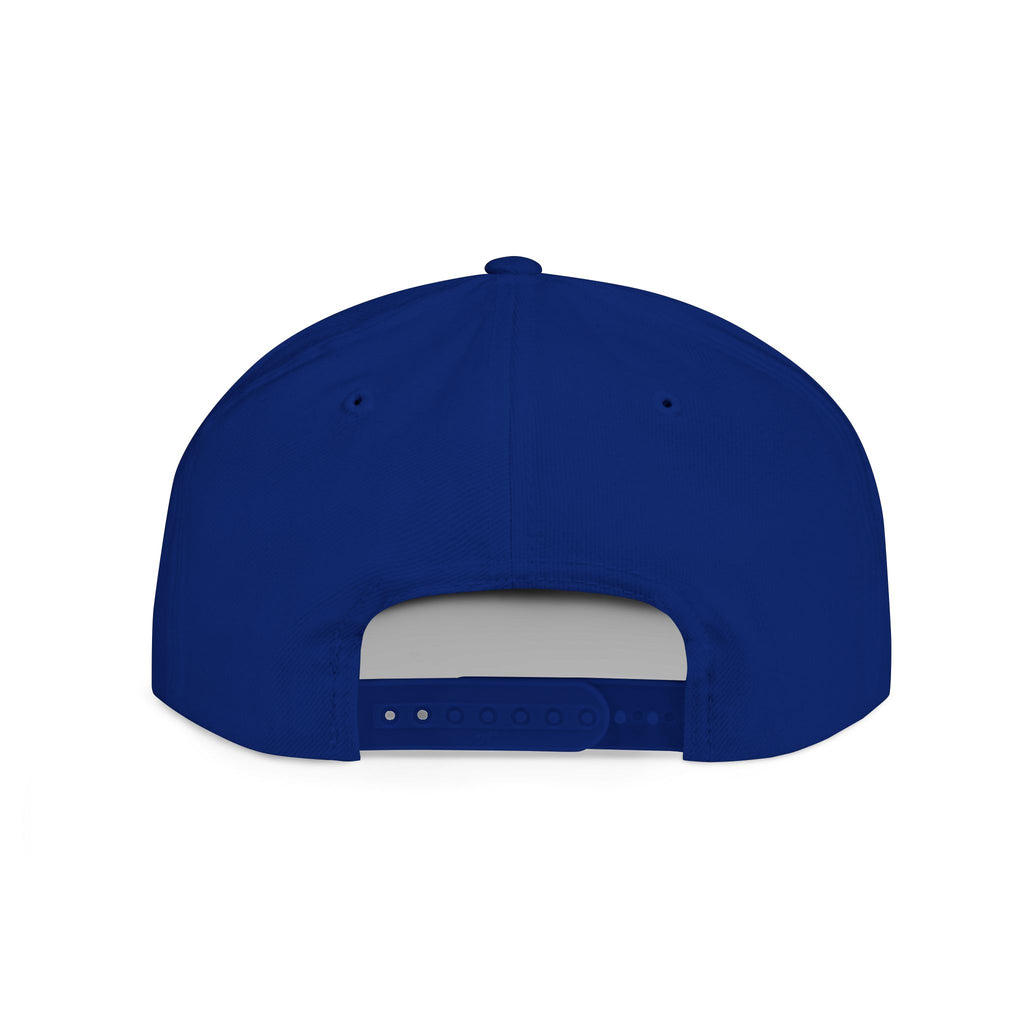 Money Gram Flat Bill Snapback Hat – Sequin 100 Bill Streetwear Cap