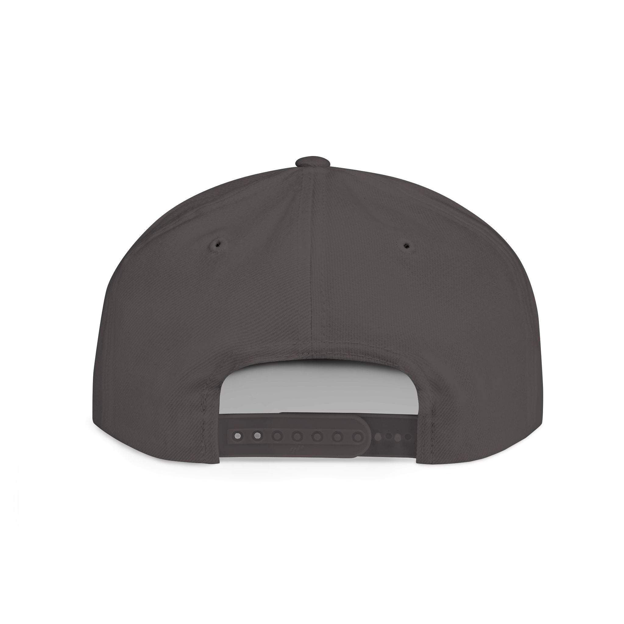 Money Gram Flat Bill Snapback Hat – Sequin 100 Bill Streetwear Cap